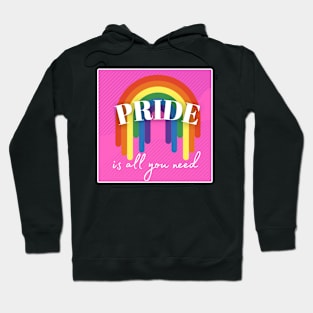 Pride is All You Need Hoodie